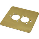 CANFORD F2PB CONNECTOR PLATE 1-gang, 2 mounting holes, polished brass