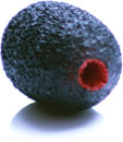 RYCOTE 105525 NEOPRENE COATED LAVALIER FOAM For lavalier mic, black
