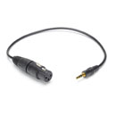 CANFORD CABLE 3FXXB-3.5mm 3-pole jack plug, straight, 250mm, camera mic input