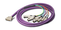 CANFORD D-SUB BREAKOUT CABLE 25 pin male to 8x XLR male, 3m