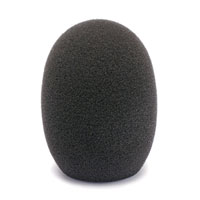 CANFORD WINDSHIELD S45 Black