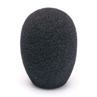 CANFORD WINDSHIELD C13 Black