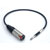 BANTAM JACKFIELD LISTEN ADAPTER