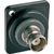D-SERIES BNC (double-sided), 50 ohm, black
