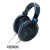 SENNHEISER HD 600 HEADPHONES 300 ohms
