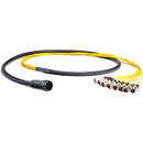 CANFORD MIL26 BREAKOUT CABLE MIL26 female to 8x XLR female, 2 metres