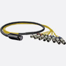 CANFORD MIL26 BREAKOUT CABLE MIL26 male to 8x XLR male, 2 metres