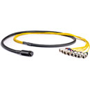 CANFORD MIL26 BREAKOUT CABLE MIL26 female to 4x XLR male and 4x XLR female, 2 metres