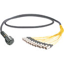 CANFORD TOURLINE37 BREAKOUT CABLE Tourline37 male to 12x XLR male, 2 metres