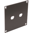 CANFORD UNIVERSAL MODULAR CONNECTION PLATE 2x ST fibre couplers, dark grey