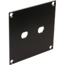 CANFORD UNIVERSAL MODULAR CONNECTION PLATE 2x ST fibre couplers, black