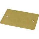 CANFORD F00PB CONNECTOR PLATE 2-gang, blank, polished brass