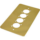 CANFORD F4PB CONNECTOR PLATE 2-gang, 4 mounting holes, polished brass