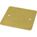 CANFORD F0PB CONNECTOR PLATE 1-gang, blank, polished brass