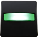 CANFORD LED SIGNAL LIGHT Black plate, green LED