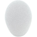 CANFORD WINDSHIELD C15 White