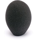 CANFORD WINDSHIELD C22 Black