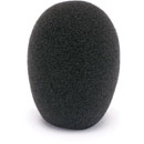 CANFORD WINDSHIELD C28 Black