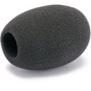 CANFORD WINDSHIELD C28 Black