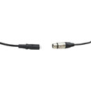 BEYERDYNAMIC K 109-5F Spare cable for DT109, straight, XLR 5 pin female, stereo