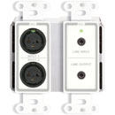 RDL DD-BN31 DANTE INTERFACE Bi-directional, mic/line, 2x2, XLR/3.5mm jack I/O, white