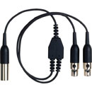 SHURE AXT652LEMO3 CABLE Y-cable, 1x TA4M input, 2x TA4F outputs