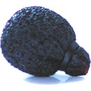 RYCOTE 105526 NEOPRENE COATED MINI LAVALIER FOAM For mini lavalier mic, black