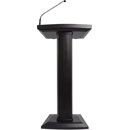 DENON LECTERN ACTIVE 100W (RMS), gooseneck mic, USB power, RCA, 3.5mm socket, XLR line out, black