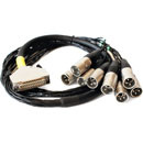 TC ELECTRONIC ANALOG OUT CABLE For Clarity X, 25-pin D-sub to 8x 3-pin male XLR