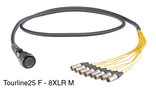 CANFORD TOURLINE25 BREAKOUT CABLE Tourline25 female to 8x XLR male, 2 metres