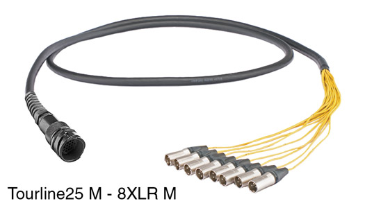 CANFORD TOURLINE25 BREAKOUT CABLE Tourline25 male to 8x XLR male, 2 metres