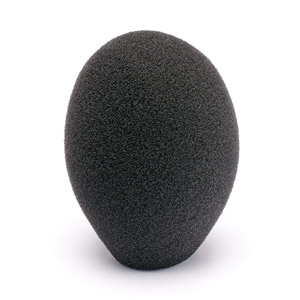 CANFORD WINDSHIELD C22 Black