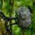 Rycote uncovered: Recording biophony in a Sumatran rainforest with George Vlad