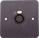 TECPRO WP961 Wallplate single circuit XLR 3 pin female