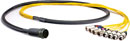 CANFORD MIL26 BREAKOUT CABLE MIL26 male to 4x XLR female and 4x XLR male, 2 metres
