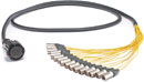 MIL26, Tourline 25 and 37 pin, D-sub 25 pin and etherCON multiway cable assemblies