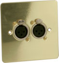 CANFORD CONNECTOR PLATE UK 1-gang, 2x XLR female, polished brass
