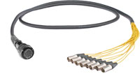 CANFORD TOURLINE BREAKOUT CABLES - 25 and 37 pin